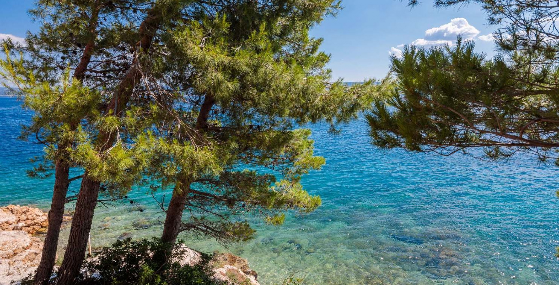 Studio apartment with sea view