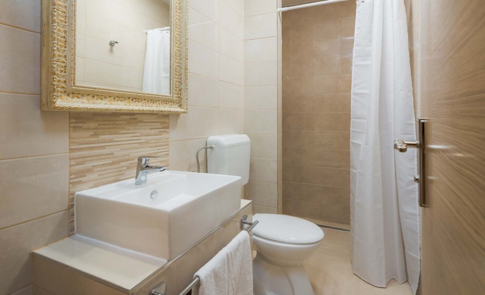 Apartment with garden view